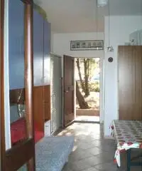 STINTINO MONO IN RESIDENCE CON PISCINA ULTIME DISPONIBILITA' STINTINO MONO IN RESIDENCE CON PISCINA ULTIME DISPONIBILITA'