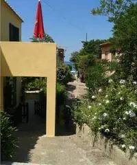 Isola d elba a PROCCHIO a 50 passi dal mare Isola d elba a PROCCHIO a 50 passi dal mare