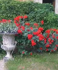 Matrimonio e nozze in Monferrato al Castello di Frassinello