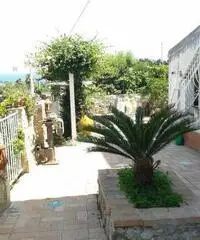 CALABRIA TROPEA MARE CASE VACANZA