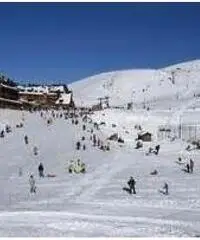 Settimana bianca 500