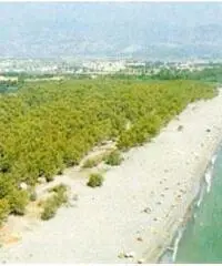 Casa a 100m dal mare a villapiana lido Casa a 100m dal mare a villapiana lido
