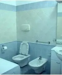 MARE AD ALBA ADRIATICA - a 50 mt dal mare MARE AD ALBA ADRIATICA - a 50 mt dal mare