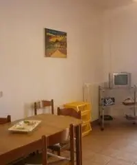 Vieste - due graziosi bilocali vicino al mare