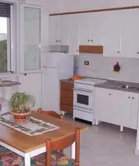 Salento a 100 metri dal mare Salento a 100 metri dal mare