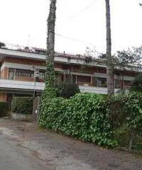 Appartamento a Marina di Massa zona tranquillissima