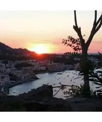 Vacanza a Ischia per single over 45 Vacanza a Ischia per single over 45