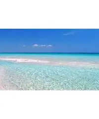 Appartamenti al mare Appartamenti al mare