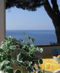 Giugno low cost Giugno low cost