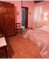 BB La casa dei tigli - Cannara (Assisi) BB La casa dei tigli - Cannara (Assisi)