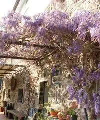 Week end in Liguria nella Natura Week end in Liguria nella Natura