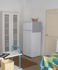 Ventotene appartamento centro fitto Ventotene appartamento centro fitto