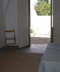 Ventotene appartamento centro fitto Ventotene appartamento centro fitto
