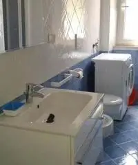 Isola d elba a PROCCHIO a 50 passi dal mare Isola d elba a PROCCHIO a 50 passi dal mare