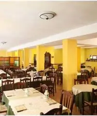 Appartamenti e camere 100mt mare Termoli Appartamenti e camere 100mt mare Termoli