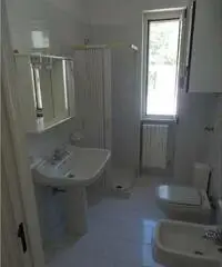 Vieste affitto mono, bilo e trilocali prezzi modici Vieste affitto mono, bilo e trilocali prezzi modici