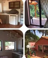 Isola d Elba sul mare