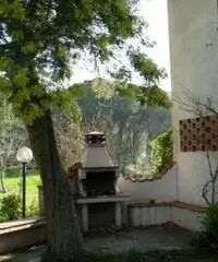 Casa indipendente con 2 alloggi - Isola d'Elba