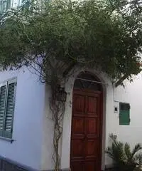 Last Minute SETTEMBRE a FORIO D'ISCHIA Last Minute SETTEMBRE a FORIO D'ISCHIA