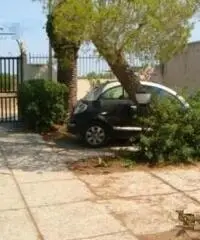 Villetta immersa nel verde a due passi dal mare Villetta immersa nel verde a due passi dal mare