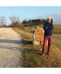 Cerco Donna Raffinata e Signorile Cerco Donna Raffinata e Signorile