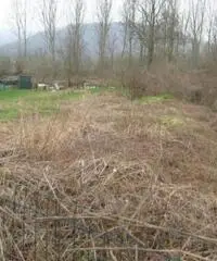 Terreno coltivabile mq 1200 Euro 11.000 Terreno coltivabile mq 1200 Euro 11.000