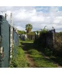 Vendita Agricolo in Via Cuma Licola, 00 Vendita Agricolo in Via Cuma Licola, 00