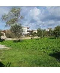 Vendita Agricolo in Via Cuma Licola, 00 Vendita Agricolo in Via Cuma Licola, 00