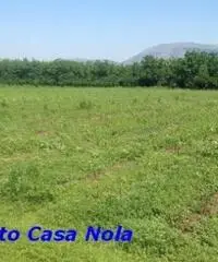 Vendita Agricolo in Via Boscofangone Vendita Agricolo in Via Boscofangone