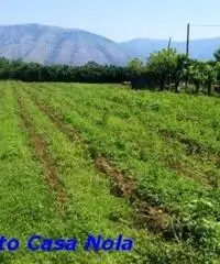 Vendita Agricolo in Via Boscofangone Vendita Agricolo in Via Boscofangone
