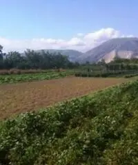 Vendita Agricolo in Via Boscofangone Vendita Agricolo in Via Boscofangone