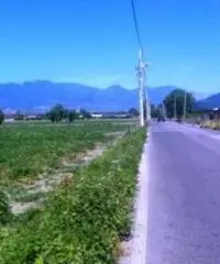 Vendita Agricolo in Via Boscofangone Vendita Agricolo in Via Boscofangone