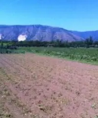 Vendita Agricolo in Via Boscofangone Vendita Agricolo in Via Boscofangone