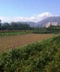 Vendita Agricolo in Via Boscofangone Vendita Agricolo in Via Boscofangone