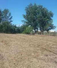 Vendita Agricolo in Via Boscofangone Vendita Agricolo in Via Boscofangone