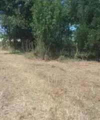 Vendita Agricolo in Via Boscofangone Vendita Agricolo in Via Boscofangone