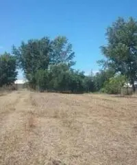 Vendita Agricolo in Via Boscofangone Vendita Agricolo in Via Boscofangone