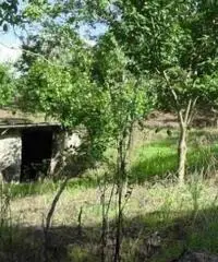 Vendita Agricolo in Via Circonvallazione