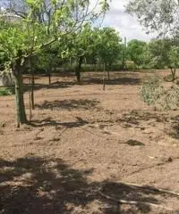 Vendita Agricolo da 2000mq