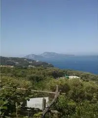 Vendita Agricolo in Largo Vescovado Vendita Agricolo in Largo Vescovado