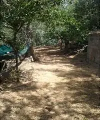 Vendita Agricolo in Largo Vescovado Vendita Agricolo in Largo Vescovado