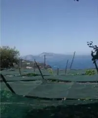 Vendita Agricolo in Largo Vescovado Vendita Agricolo in Largo Vescovado