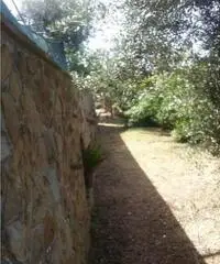 Vendita Agricolo in Largo Vescovado Vendita Agricolo in Largo Vescovado