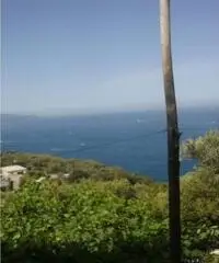 Vendita Agricolo in Largo Vescovado Vendita Agricolo in Largo Vescovado