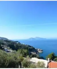 Vendita Agricolo in via IV Novembre Vendita Agricolo in via IV Novembre