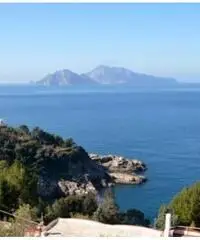 Vendita Agricolo in via IV Novembre Vendita Agricolo in via IV Novembre