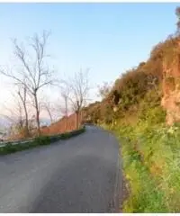 Vendita Agricolo in via IV Novembre Vendita Agricolo in via IV Novembre