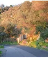 Vendita Agricolo in via IV Novembre Vendita Agricolo in via IV Novembre