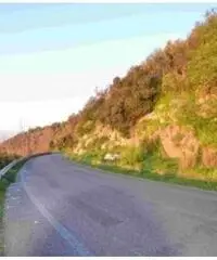 Vendita Agricolo in via IV Novembre Vendita Agricolo in via IV Novembre