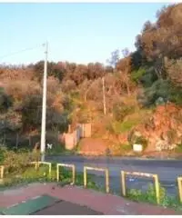 Vendita Agricolo in via IV Novembre Vendita Agricolo in via IV Novembre